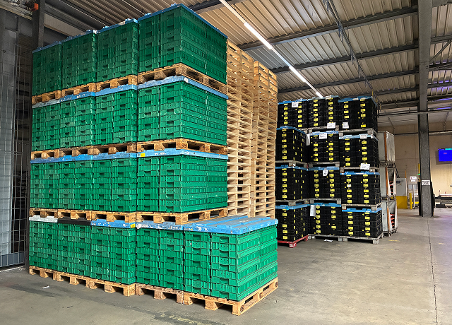 Logistik